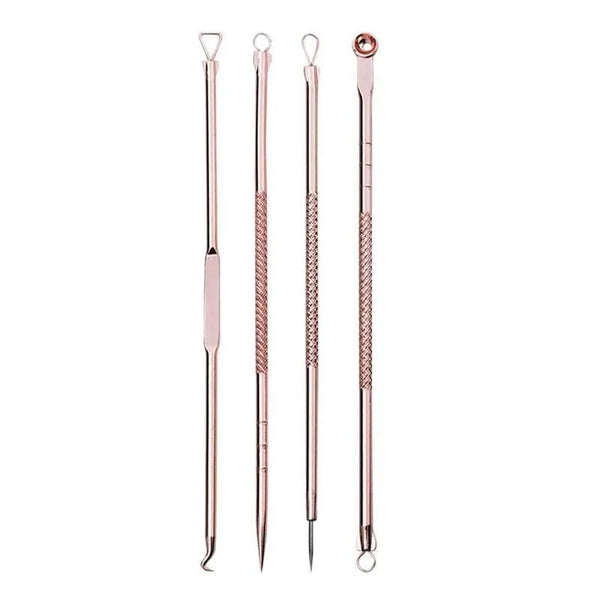 4pcs Blackhead Blemish Removers Needle