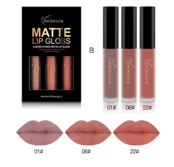 Nice Face lip-color group B with tubes and lip swatches labeled 01, 06 and 22