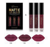 Nice Face lip-color group A with three mauve and berry lip examples
