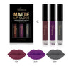 Nice Face lip-color group C with plum, purple and gray lip examples