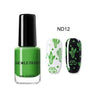 2 in 1 Stamping Nail Polish Varnish