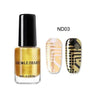 2 in 1 Stamping Nail Polish Varnish