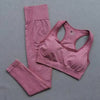 2PCS/Set Seamless Yoga Set Gym Sets