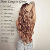 Long wavy Clip in One Piece Hair Extension