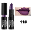 Luxury Halloween Party Lips Makeup Cosmetics Waterproof Velvet Matte Lipstick Long Lasting