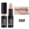 Luxury Halloween Party Lips Makeup Cosmetics Waterproof Velvet Matte Lipstick Long Lasting