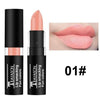 Luxury Halloween Party Lips Makeup Cosmetics Waterproof Velvet Matte Lipstick Long Lasting