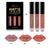 Nice Face Lip Bundle - Mattle Liquid Lip